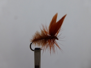 Size 14 Brown Moth  Barbless